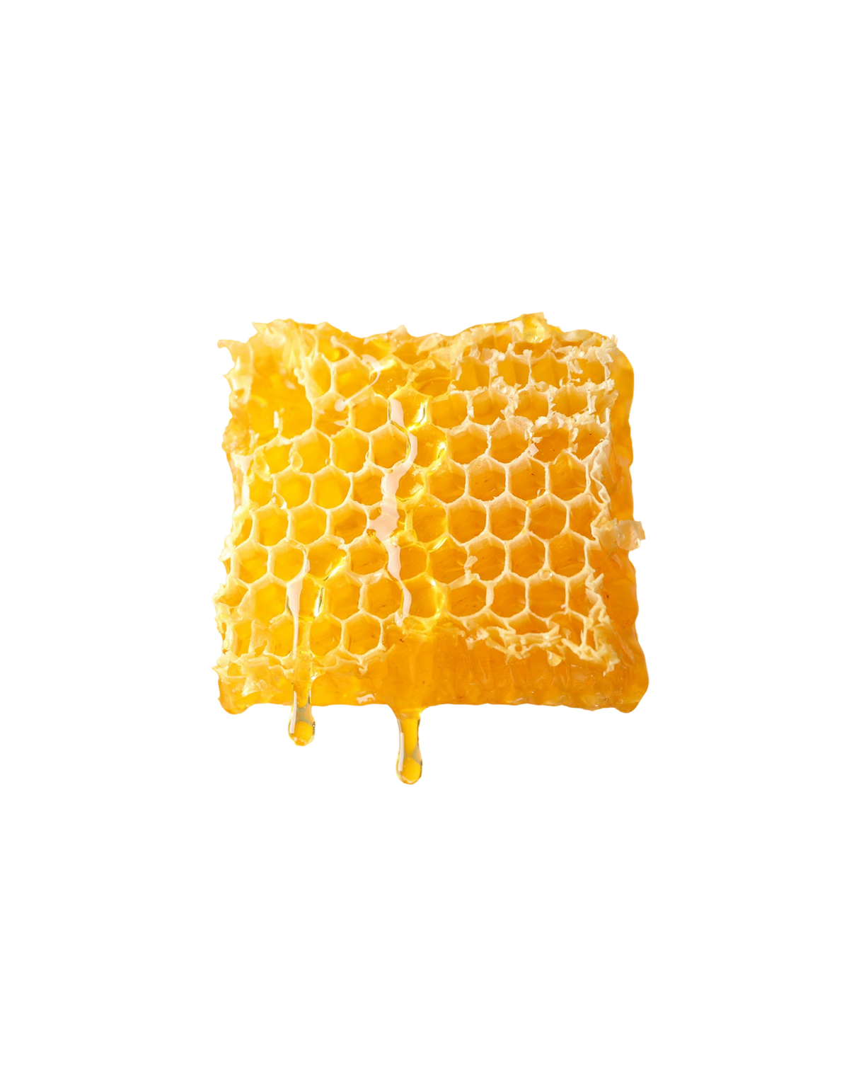 Cire d’abeille
