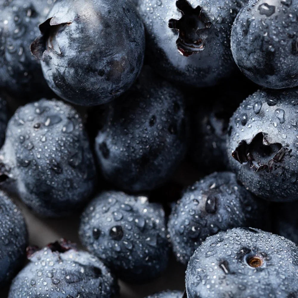 Honeybalm Blueberry SPF